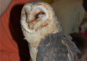 Výstava-Den-Země-017-1